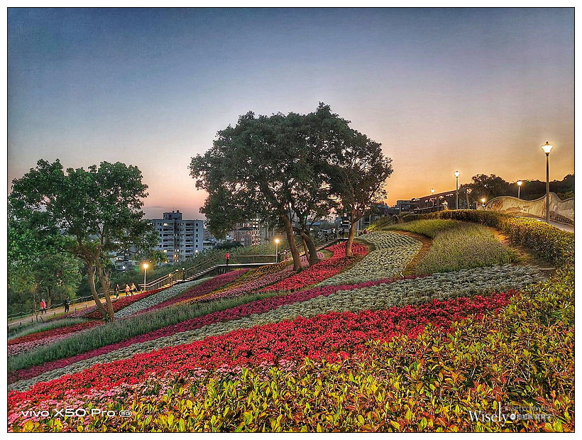 北投社三層崎公園花海︱交通接駁、停車資訊、花期時間、必拍角度~北投景點 x 台北IG打卡景點 北投社三層崎公園花海︱交通接駁、停車資訊、花期時間、必拍角度~北投景點 x 台北IG打卡景點