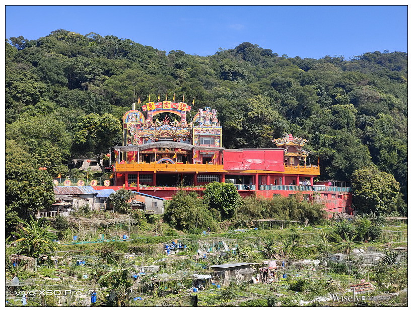 台北賞櫻景點。內湖碧山巖櫻花隧道、開漳聖王廟︱圓覺寺粉白色椿寒櫻~內湖櫻花 x 台北櫻花 x 內湖景點