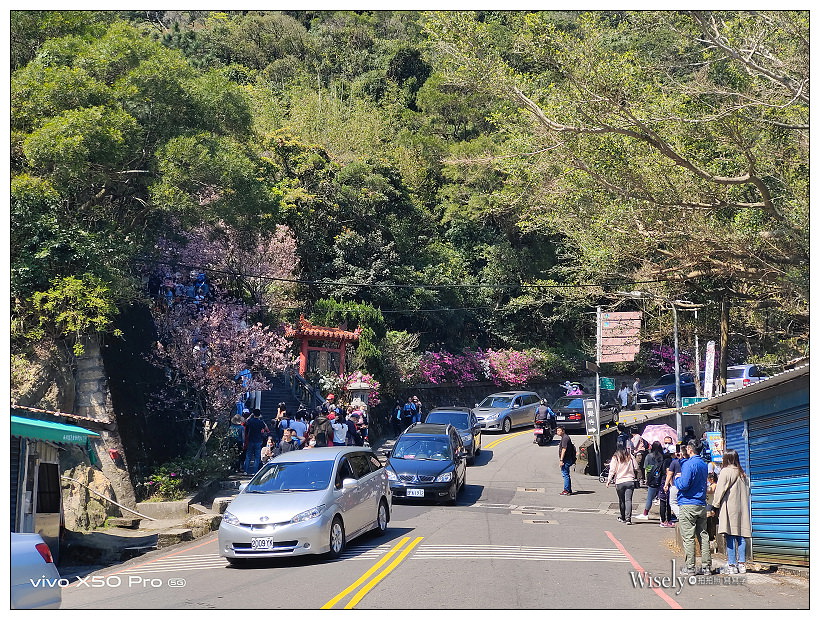 台北賞櫻景點。內湖碧山巖櫻花隧道、開漳聖王廟︱圓覺寺粉白色椿寒櫻~內湖櫻花 x 台北櫻花 x 內湖景點