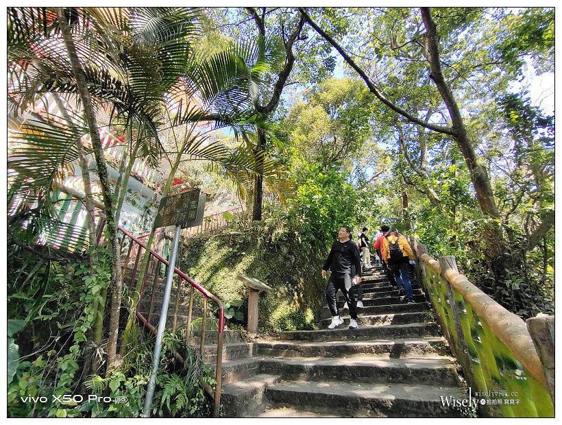 台北賞櫻景點。內湖碧山巖櫻花隧道、開漳聖王廟︱圓覺寺粉白色椿寒櫻~內湖櫻花 x 台北櫻花 x 內湖景點