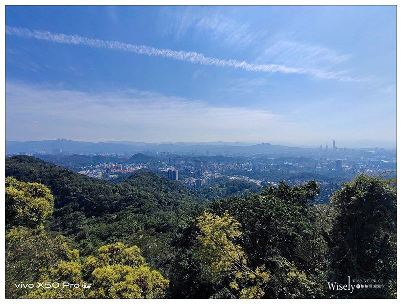 台北賞櫻景點。內湖碧山巖櫻花隧道、開漳聖王廟︱圓覺寺粉白色椿寒櫻~內湖櫻花 x 台北櫻花 x 內湖景點