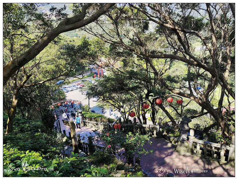 台北賞櫻景點。內湖碧山巖櫻花隧道、開漳聖王廟︱圓覺寺粉白色椿寒櫻~內湖櫻花 x 台北櫻花 x 內湖景點