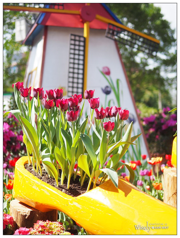 2021 士林官邸鬱金香展：2/25-03/07︱活動時間、展區介紹、交通接駁、拍攝分享～花 in 台北 x 士林景點
