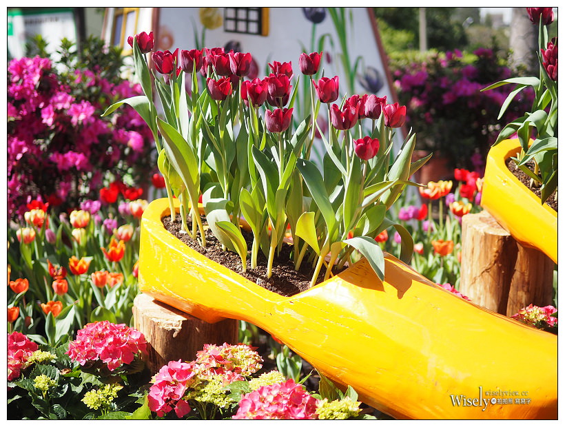 2021 士林官邸鬱金香展：2/25-03/07︱活動時間、展區介紹、交通接駁、拍攝分享～花 in 台北 x 士林景點