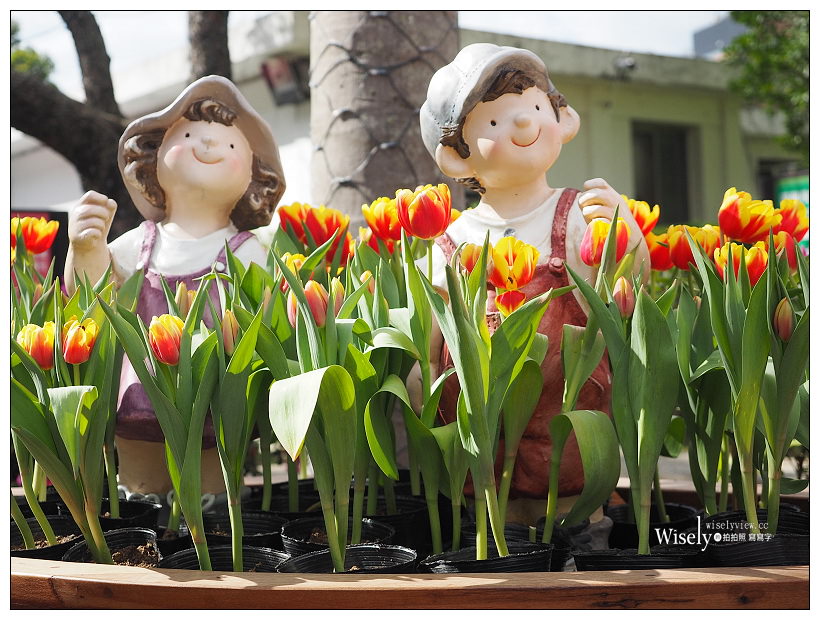 2021 士林官邸鬱金香展：2/25-03/07︱活動時間、展區介紹、交通接駁、拍攝分享～花 in 台北 x 士林景點