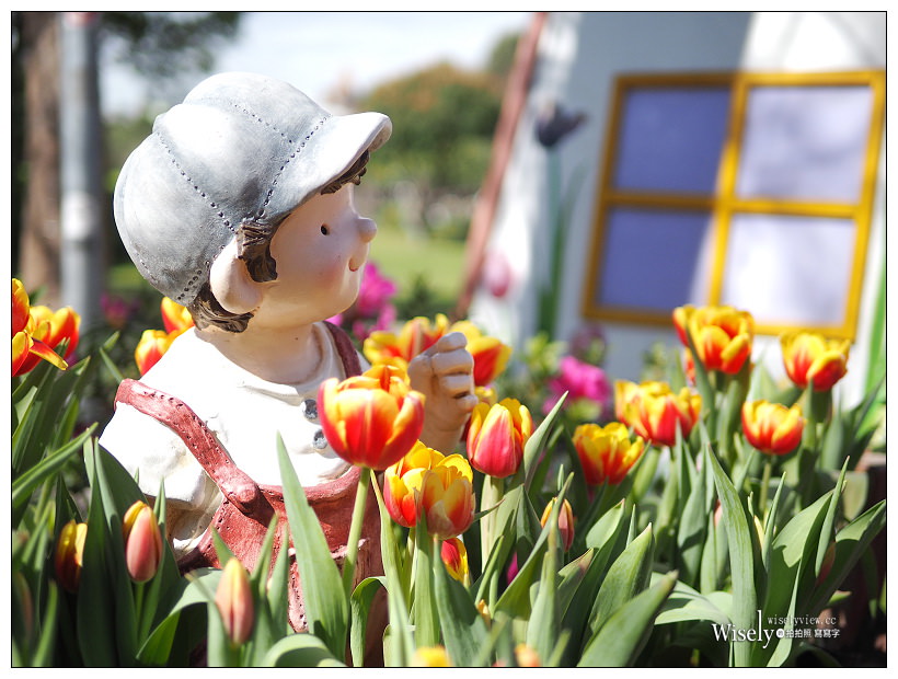 2021 士林官邸鬱金香展：2/25-03/07︱活動時間、展區介紹、交通接駁、拍攝分享～花 in 台北 x 士林景點