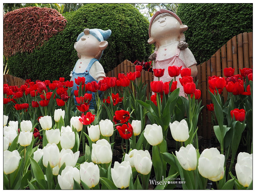 2021 士林官邸鬱金香展：2/25-03/07︱活動時間、展區介紹、交通接駁、拍攝分享～花 in 台北 x 士林景點