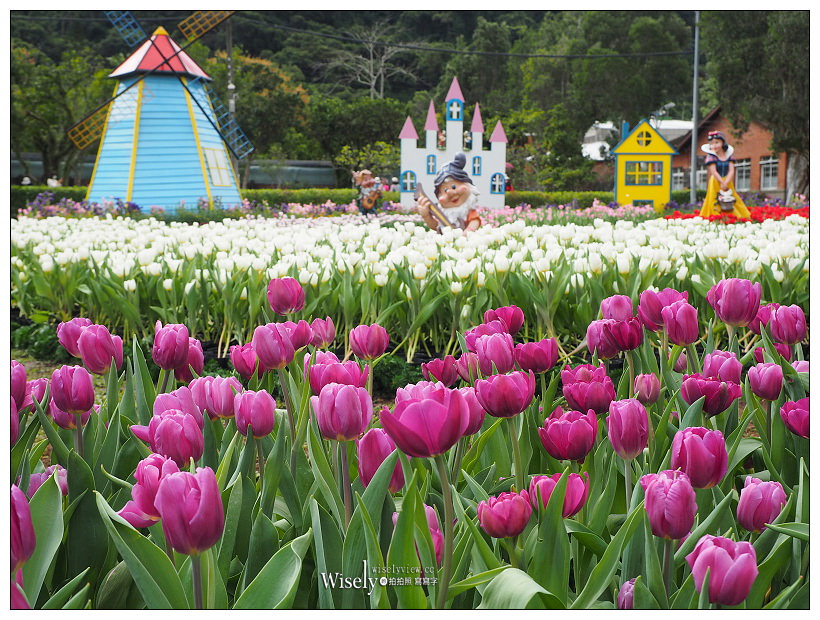 2021 士林官邸鬱金香展：2/25-03/07︱活動時間、展區介紹、交通接駁、拍攝分享～花 in 台北 x 士林景點