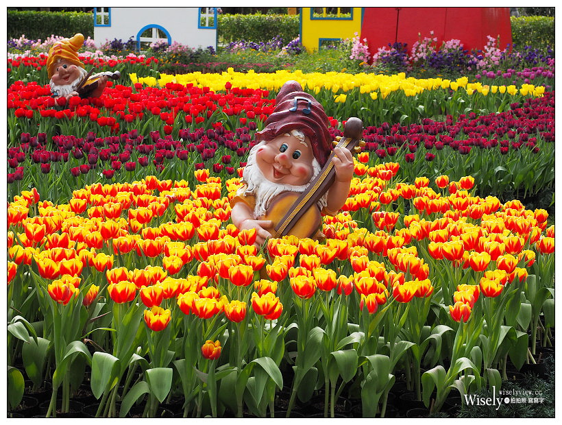 2021 士林官邸鬱金香展：2/25-03/07︱活動時間、展區介紹、交通接駁、拍攝分享～花 in 台北 x 士林景點