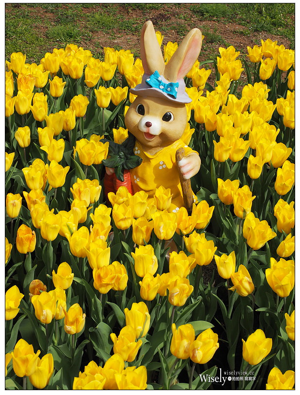 2021 士林官邸鬱金香展：2/25-03/07︱活動時間、展區介紹、交通接駁、拍攝分享～花 in 台北 x 士林景點