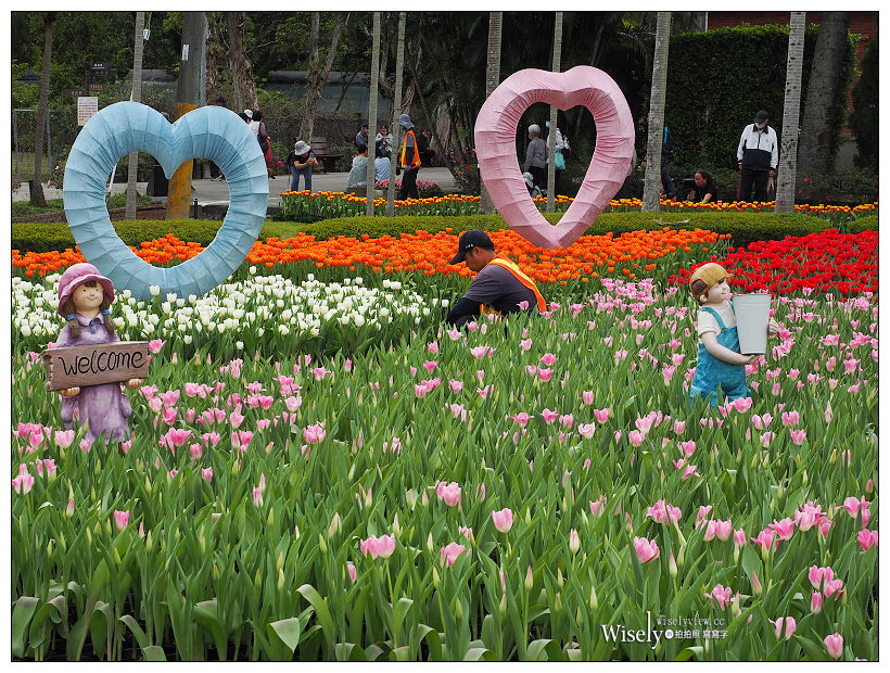 2021 士林官邸鬱金香展：2/25-03/07︱活動時間、展區介紹、交通接駁、拍攝分享～花 in 台北 x 士林景點