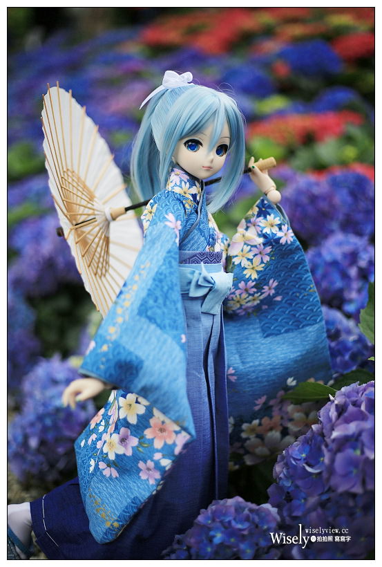 2021 台北杜鵑花季。大安森林公園繡球花 杜鵑冶園︱2/20-3/21 免費欣賞~花 in 台北 x 台北景點