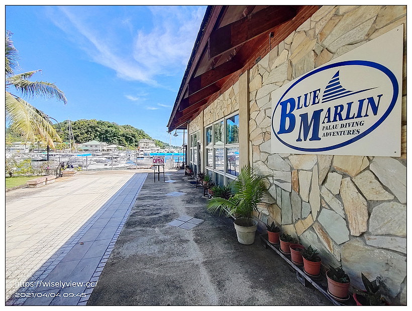 帛琉潛水行程︱大斷層、牛奶湖、水母湖、日軍沉船海域、黃金玫瑰珊瑚礁花園、長沙灘島午餐、七彩軟珊瑚、藍色珊瑚礁、曼妙島、鯊魚城&干貝城