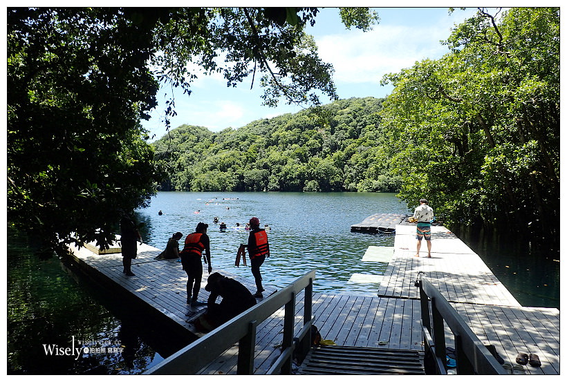 帛琉景點潛水。Olympus Tough TG-3︱出海浮潛實拍與飯店隨拍記錄～珊瑚礁、小丑魚和黃金水母