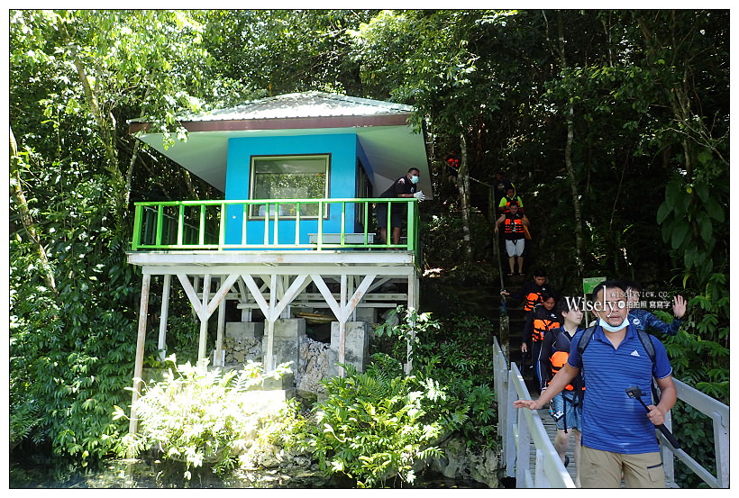 帛琉景點潛水。Olympus Tough TG-3︱出海浮潛實拍與飯店隨拍記錄～珊瑚礁、小丑魚和黃金水母