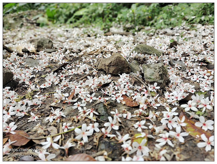 馥蘭朵宜蘭里山。體驗展演︱DIY手作、里山藝境：生態導覽、生活儀式演出(破虛空／即靜音／聽心／棋不語／山海繞)、奉茶品茗～山林海洋生態藝術感動