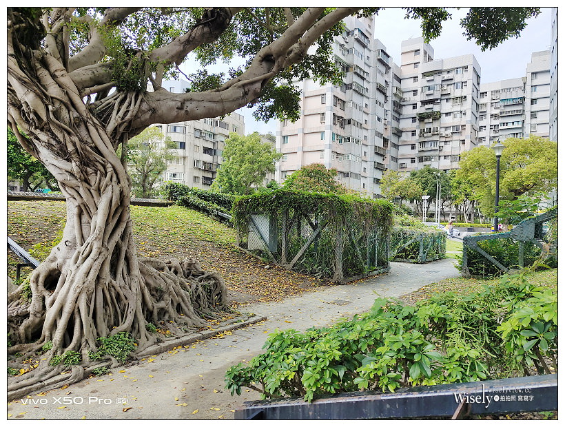 台北景點。四四南村-環境交通︱相鄰台北101約會散步好去處，信義公民會館暨眷村文化公園