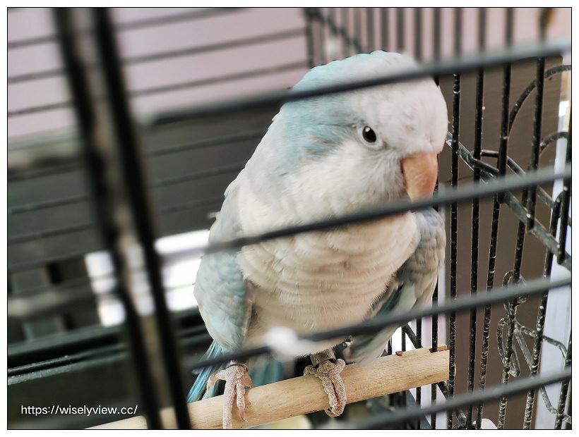 台北大安。千鳥咖啡 Chidori Coffee｜仁愛路三段巷弄內，日系文青手沖咖啡與素食甜點輕食～台北下午茶 x 建國花市美食 x 捷運大安森林公園站美食