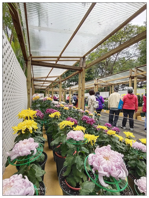 2021士林官邸菊展。菊來運轉 11/26-12/12 交通路線停車︱旋轉大立菊、巨型恐龍、笑笑羊拍照打卡資訊