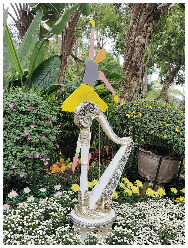 2021士林官邸菊展。菊來運轉 11/26-12/12 交通路線停車︱旋轉大立菊、巨型恐龍、笑笑羊拍照打卡資訊