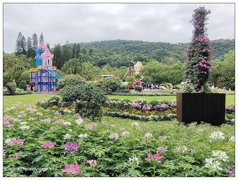 2021士林官邸菊展。菊來運轉 11/26-12/12 交通路線停車︱旋轉大立菊、巨型恐龍、笑笑羊拍照打卡資訊