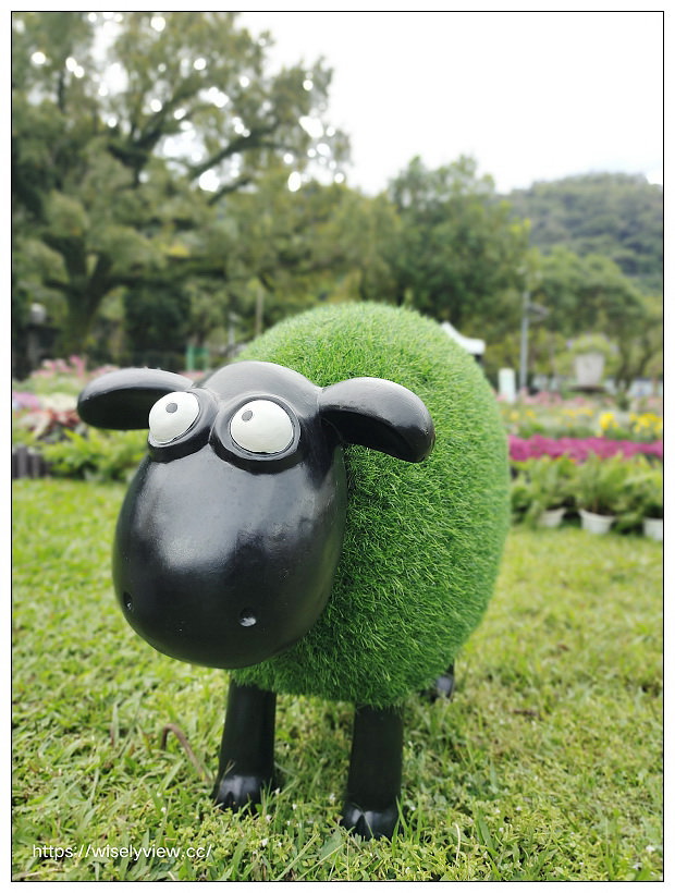 2021士林官邸菊展。菊來運轉 11/26-12/12 交通路線停車︱旋轉大立菊、巨型恐龍、笑笑羊拍照打卡資訊