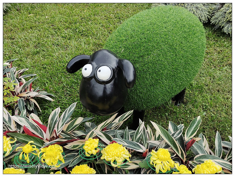 2021士林官邸菊展。菊來運轉 11/26-12/12 交通路線停車︱旋轉大立菊、巨型恐龍、笑笑羊拍照打卡資訊