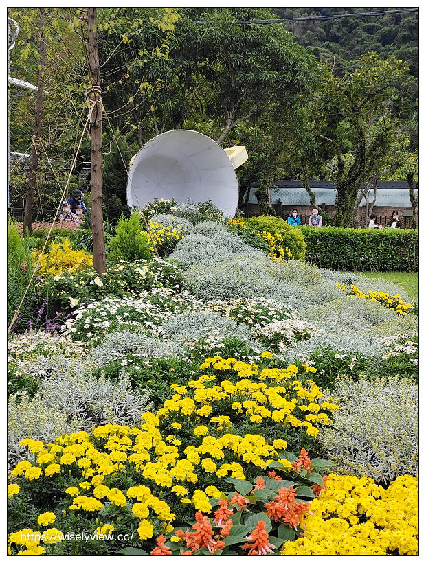 2021士林官邸菊展。菊來運轉 11/26-12/12 交通路線停車︱旋轉大立菊、巨型恐龍、笑笑羊拍照打卡資訊