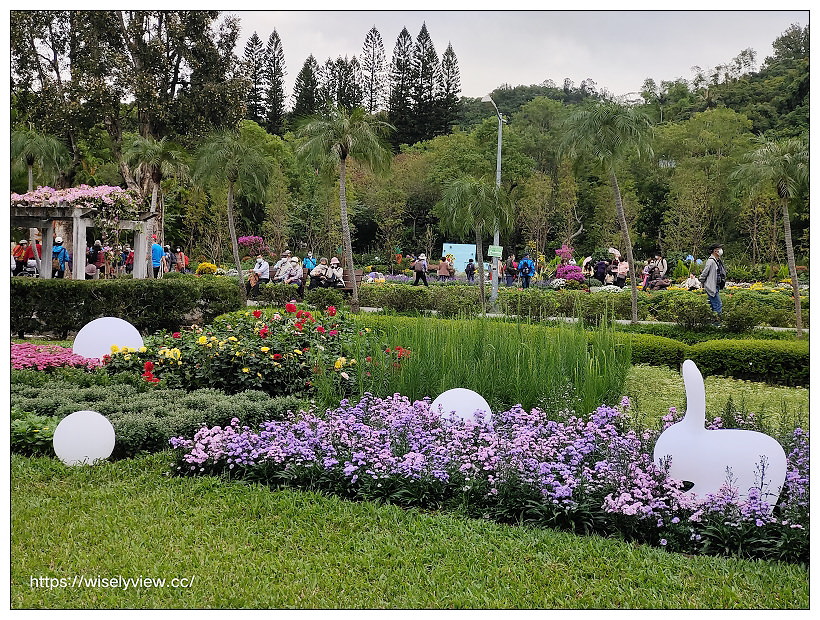 2021士林官邸菊展。菊來運轉 11/26-12/12 交通路線停車︱旋轉大立菊、巨型恐龍、笑笑羊拍照打卡資訊