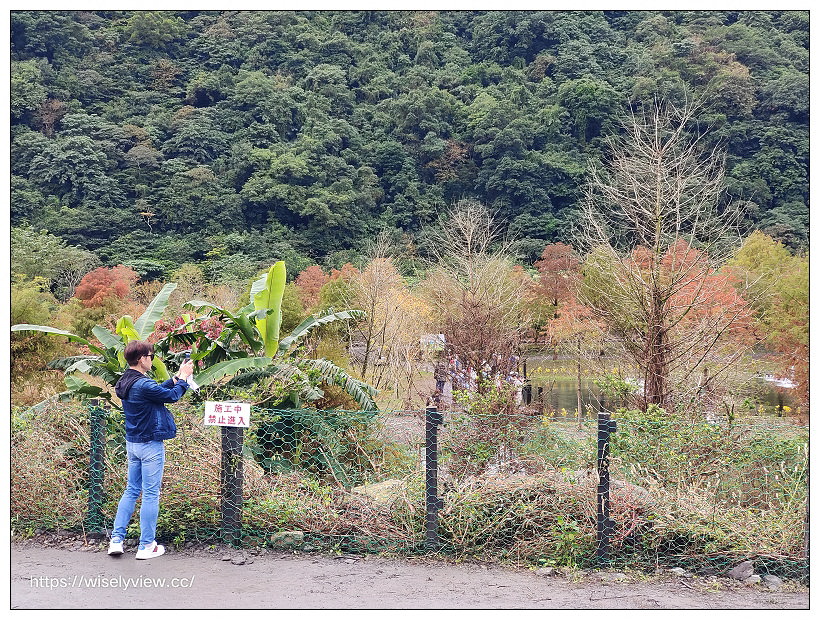 宜蘭景點。三層坪農塘落羽松︱大礁溪農場裡秘境景點，停車資訊與周邊景點、小吃美食建議