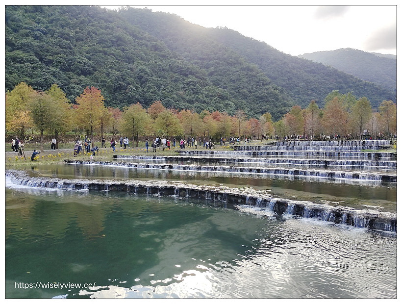 宜蘭景點。三層坪農塘落羽松︱大礁溪農場裡秘境景點，停車資訊與周邊景點、小吃美食建議