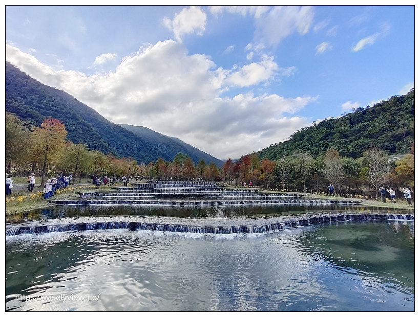 宜蘭景點。三層坪農塘落羽松︱大礁溪農場裡秘境景點，停車資訊與周邊景點、小吃美食建議