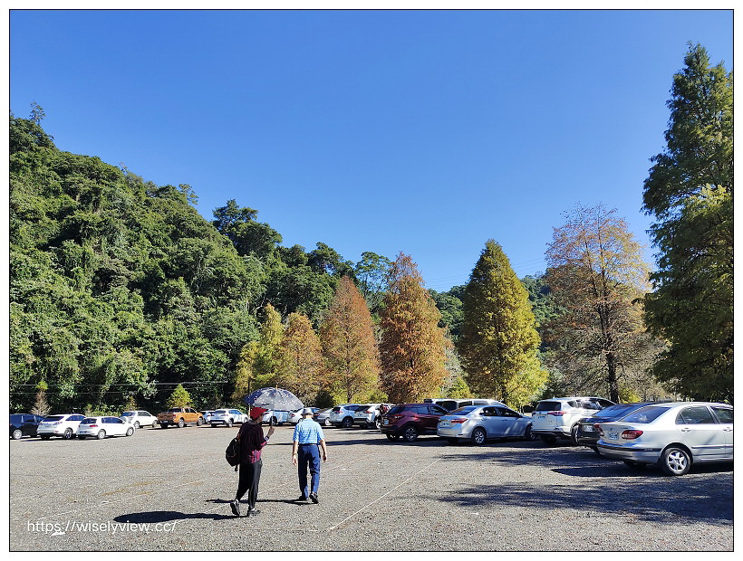 宜蘭落羽松景點。員山蜊埤湖福園︱每年12月至隔年1月限定美景，拍照打卡親子野餐必訪