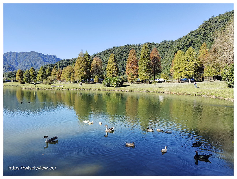 宜蘭落羽松景點。員山蜊埤湖福園︱每年12月至隔年1月限定美景，拍照打卡親子野餐必訪