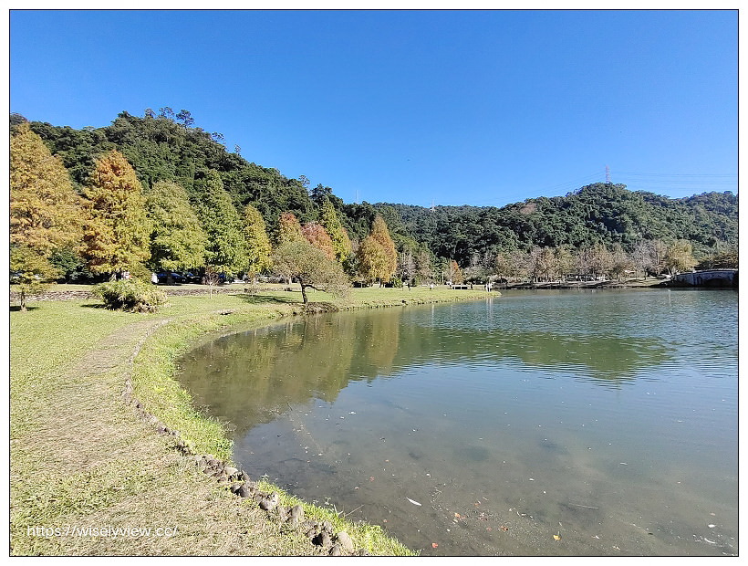 宜蘭落羽松景點。員山蜊埤湖福園︱每年12月至隔年1月限定美景，拍照打卡親子野餐必訪