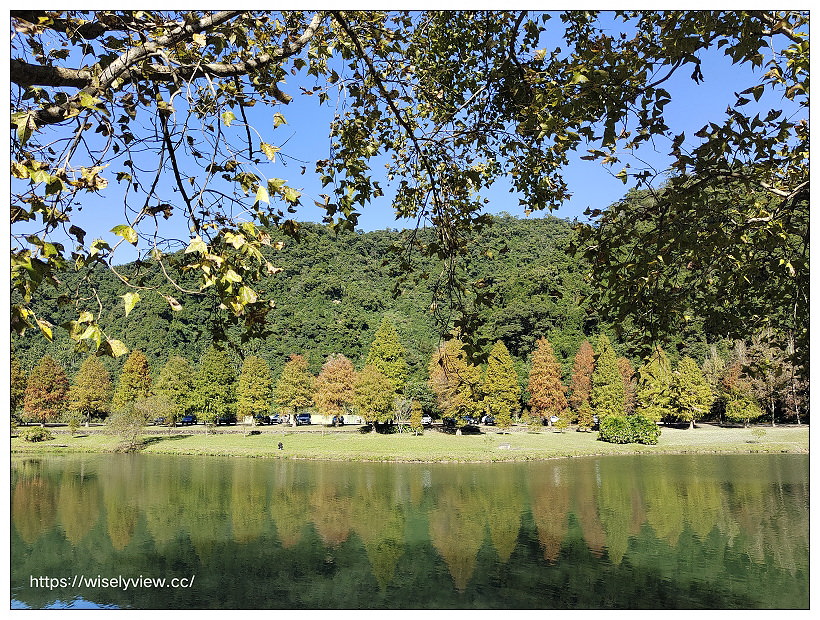宜蘭落羽松景點。員山蜊埤湖福園︱每年12月至隔年1月限定美景，拍照打卡親子野餐必訪