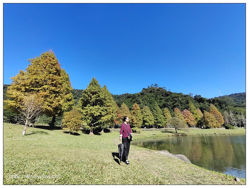 宜蘭落羽松景點。員山蜊埤湖福園︱每年12月至隔年1月限定美景，拍照打卡親子野餐必訪