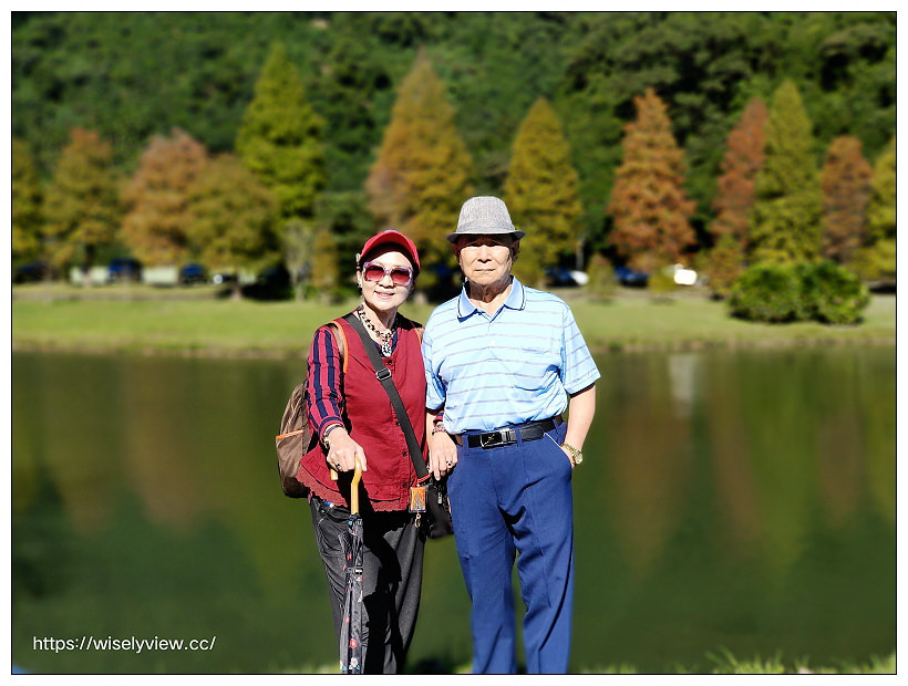 宜蘭落羽松景點。員山蜊埤湖福園︱每年12月至隔年1月限定美景，拍照打卡親子野餐必訪