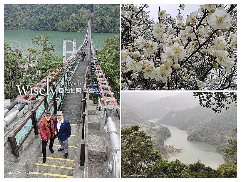 桃園角板山梅花季。交通資訊路線︱角板山公園、角板山行館(梅園/環湖步道/行館咖啡)、新溪口吊橋-全台最長吊橋(售票交通資訊)～桃園景點 x 桃園一日遊 @WISELY&#039;s 拍拍照寫寫字