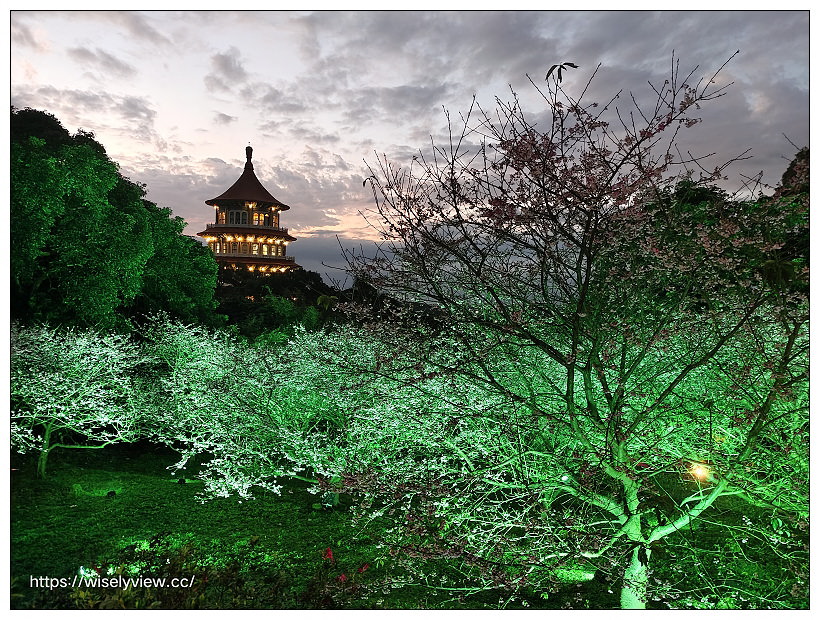 新北賞櫻景點。淡水無極天元宮︱後山三色櫻隨拍(夜櫻1/25),點燈時間與拍攝角度~2022新北櫻花稼期 新北賞櫻景點。淡水無極天元宮︱後山三色櫻隨拍(夜櫻1/25),點燈時間與拍攝角度~2022新北櫻花稼期