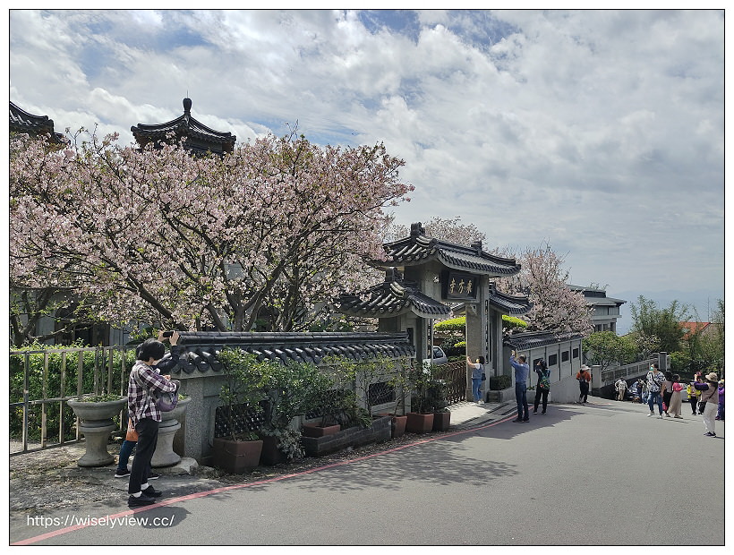 陽明山櫻花季 2022︱東方寺吉野櫻、台北奧萬大楓紅