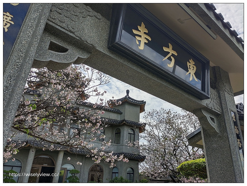 陽明山櫻花季 2022︱東方寺吉野櫻、台北奧萬大楓紅