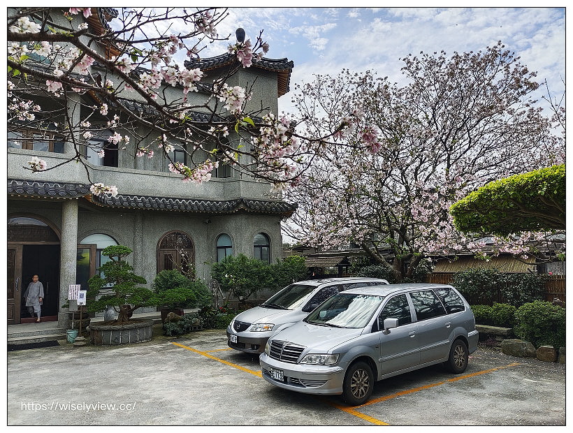 陽明山櫻花季 2022︱東方寺吉野櫻、台北奧萬大楓紅