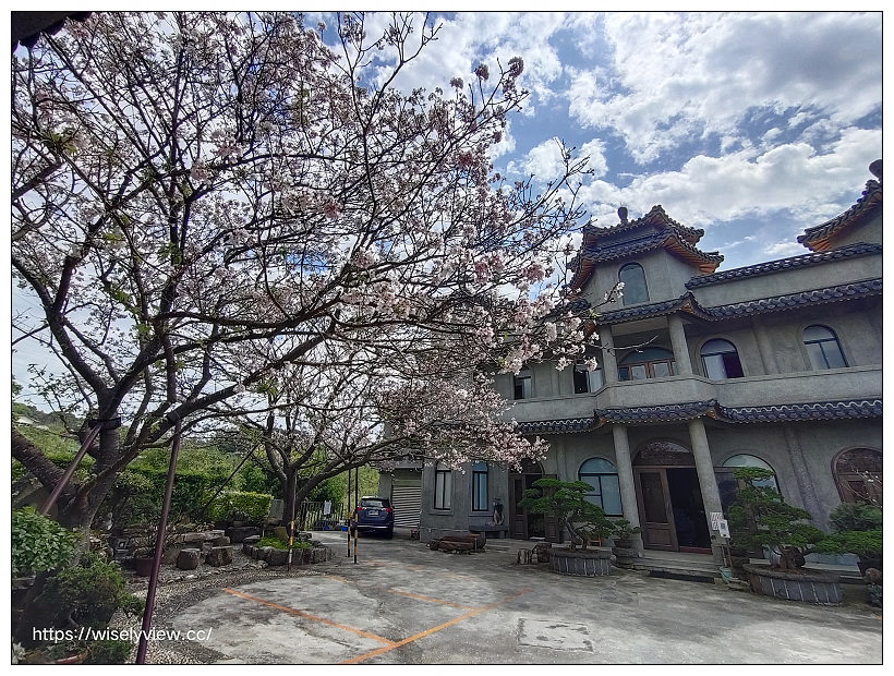 陽明山櫻花季 2022︱東方寺吉野櫻、台北奧萬大楓紅