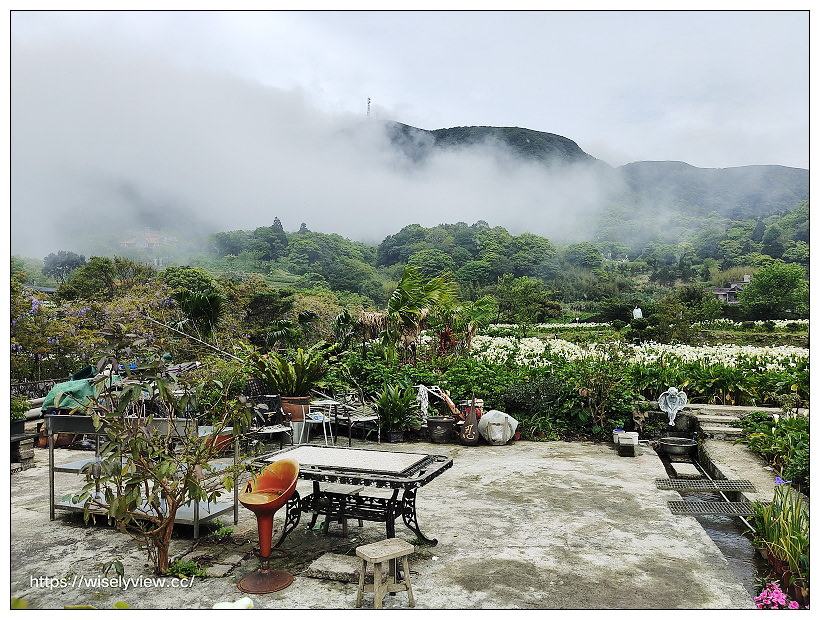 展昇海芋園。陽明山竹子湖海芋大道︱外圍免費環狀步道，百元入園費視野廣濶～陽明山海芋季2022