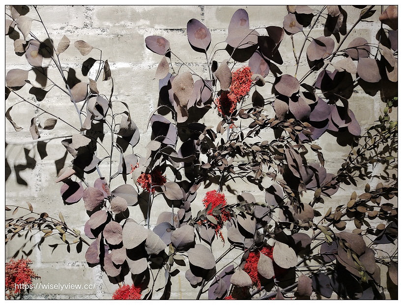 台中北區。飲周公+eat bao lab︱文青特色改裝空間風格，咖啡宵夜輕食有店貓，相鄰一中商圈與中友百貨