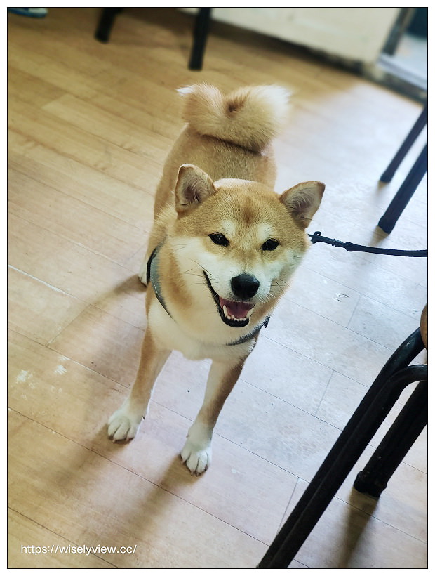 石碇頭骨肉老店︱原八分寮小吃店，古早味黑白切，必吃三招牌大推～石碇美食 x 石碇小吃 x 石碇黑白切