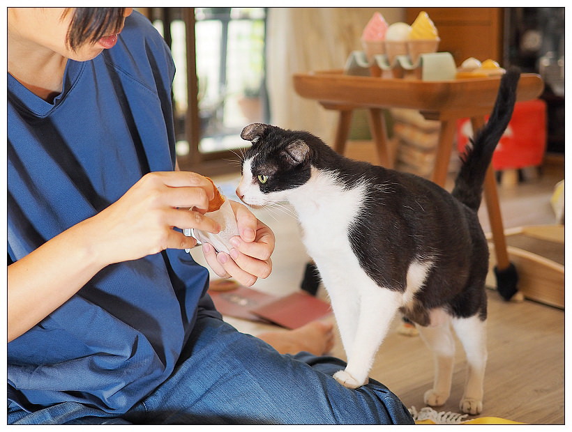 凱撒飯店連鎖月來月旺中秋禮盒︱經典廣式「點亮希望」月餅禮盒、虎掌造型「萌虎祁月」流芯禮盒、全新口味「月來月旺」雙享禮盒～開箱品嚐 x 訂購資訊