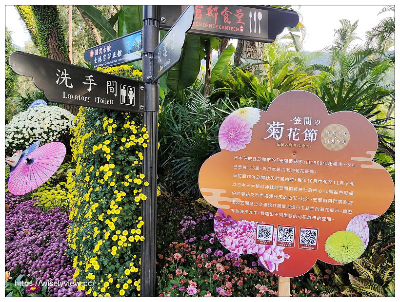 2022士林官邸菊展。「菊耀20」11/25-12/11︱內容重點、交通資訊、活動時間