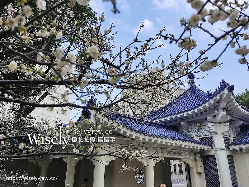 台北景點。中正紀念堂梅園︱宮粉梅、果梅、純香梅花，賞花期一月中至二月初～手機相機拍攝分享 @WISELY&#039;s 拍拍照寫寫字